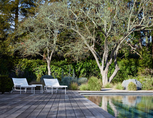 1966 Collection Adjustable Chaise