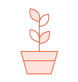 Add color and cheer!